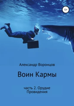 Воин Кармы. Часть 2. Орудие Провидения, аудиокнига Александра Воронцова. ISDN39142602