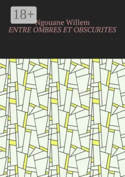 Entre ombres et obscurités, Willem Ngouane