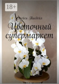 Само совершенство, аудиокнига Джудит Макнот. ISDN8482902