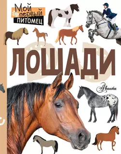 Лошади Ксения Сергеева