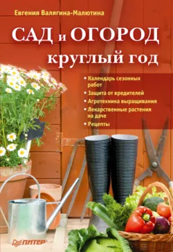 Сад и огород круглый год, аудиокнига . ISDN71007598
