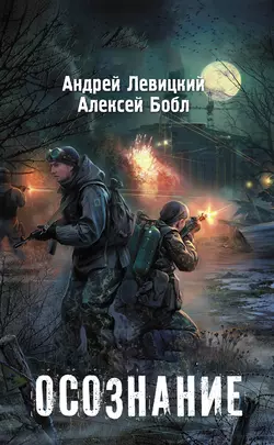 Осознание - Андрей Левицкий