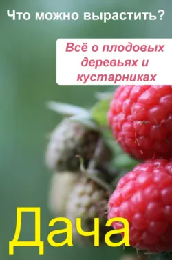Что можно вырастить? Всё о плодовых деревьях и кустарниках - Сборник