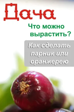 Что можно вырастить? Как сделать парник или оранжерею - Сборник