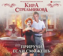 Прятки с тенями, аудиокнига . ISDN74394518