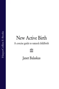 New Active Birth: A Concise Guide to Natural Childbirth Janet Balaskas