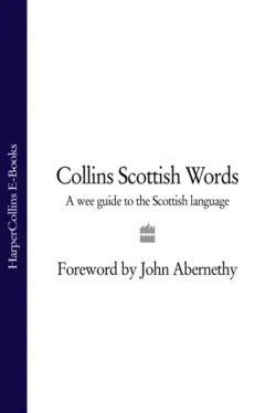 Collins Scottish Words: A wee guide to the Scottish language - John Abernethy