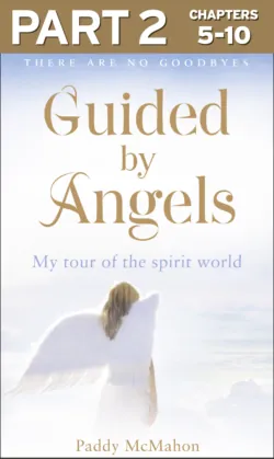 Guided By Angels: Part 2 of 3: There Are No Goodbyes, My Tour of the Spirit World - Paddy McMahon