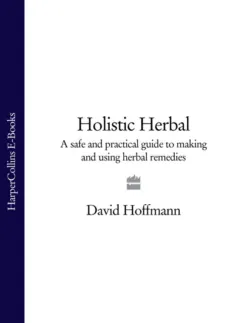 Holistic Herbal: A Safe and Practical Guide to Making and Using Herbal Remedies - David Hoffmann