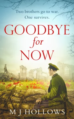 Goodbye for Now: A breathtaking historical debut M.J. Hollows