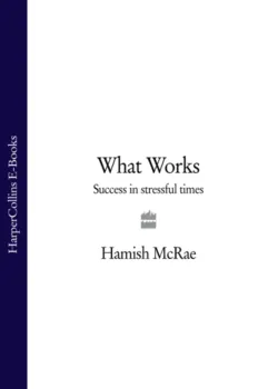 What Works: Success in Stressful Times, Hamish McRae What Works: Success in Stressful Times, Hamish McRae