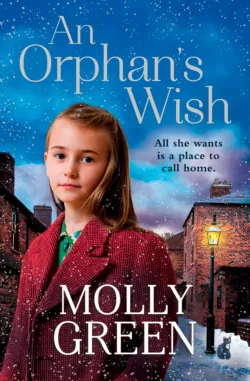 An Orphan’s Wish: The new, most heartwarming of christmas novels you will read in 2018, Molly Green An Orphan’s Wish: The new, most heartwarming of christmas novels you will read in 2018, Molly Green