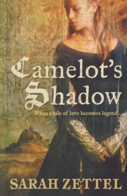 Camelot’s Shadow, Sarah Zettel