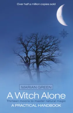 A Witch Alone: Thirteen moons to master natural magic - Marian Green