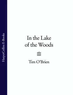 In the Lake of the Woods Tim O’Brien