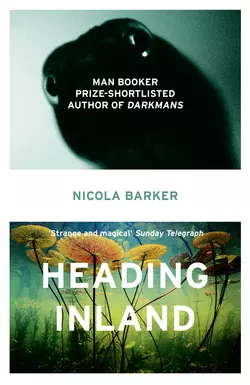 Heading Inland - Nicola Barker Heading Inland - Nicola Barker