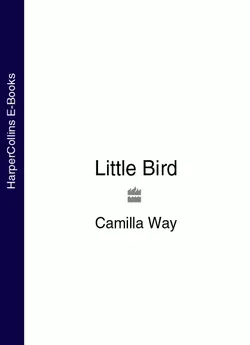 Little Bird - Camilla Way Little Bird - Camilla Way