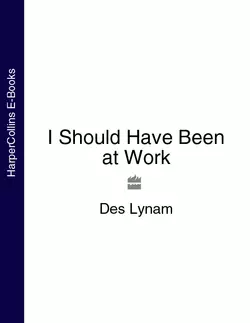 I Should Have Been at Work, Des  Lynam аудиокнига. ISDN39790737