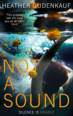 Not A Sound, Heather Gudenkauf аудиокнига. ISDN39793577