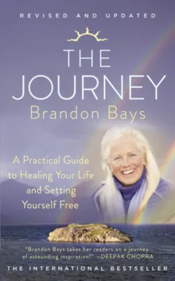 The Journey: A Practical Guide to Healing Your life and Setting Yourself Free - Brandon Bays