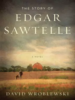 The Story of Edgar Sawtelle - David Wroblewski The Story of Edgar Sawtelle - David Wroblewski