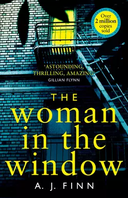 The Woman in the Window: The most exciting debut thriller of 2018 - A. Finn