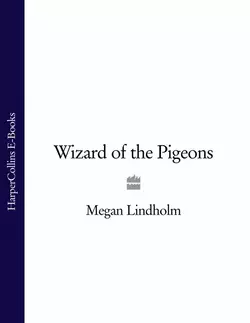 Wizard of the Pigeons - Megan Lindholm