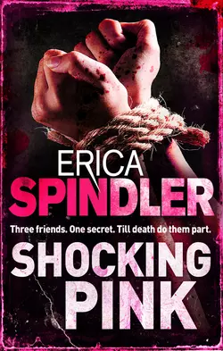 Dead Run, Erica Spindler аудиокнига. ISDN39775093