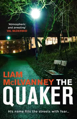 The Quaker - Liam McIlvanney