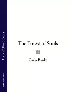 The Forest of Souls - Carla Banks