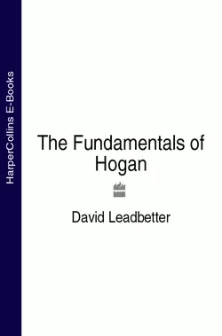 The Fundamentals of Hogan - David Leadbetter The Fundamentals of Hogan - David Leadbetter