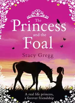 The Princess and the Foal Stacy Gregg