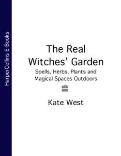 The Real Witches’ Handbook: The Definitive Handbook of Advanced Magical Techniques,  аудиокнига. ISDN39819097
