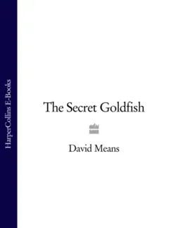 The Secret Goldfish - David Means