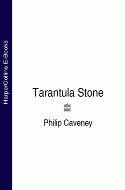 The Tarantula Stone Philip Caveney