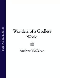 Wonders of a Godless World - Andrew McGahan