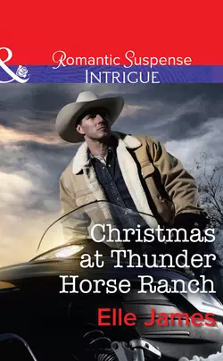 Christmas at Thunder Horse Ranch, Elle James