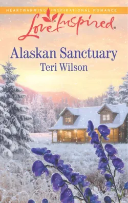 Alaskan Hero, Teri  Wilson audiobook. ISDN39908698