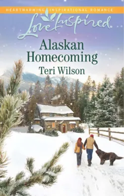 Alaskan Hero, Teri  Wilson audiobook. ISDN39908698