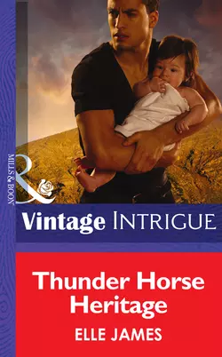 Thunder Horse Heritage - Elle James