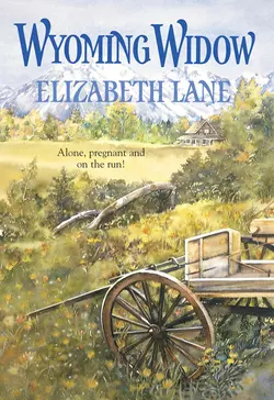 Wyoming Widow - Elizabeth Lane Wyoming Widow - Elizabeth Lane