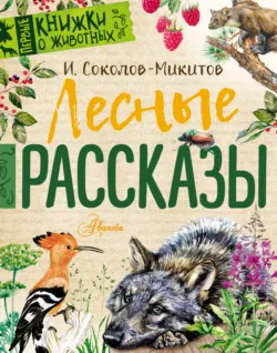 На теплой земле (сборник), аудиокнига . ISDN6994656