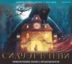 Месть охотника на ведьм, аудиокнига Джона Беллэрса. ISDN48857542