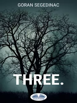 Three. - Goran Segedinac