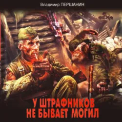 Прорыв «Зверобоев». На острие танковых ударов, аудиокнига . ISDN73762798