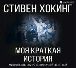 Краткие ответы на большие вопросы, аудиокнига . ISDN40229167