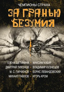 За гранью безумия - Виктор Точинов