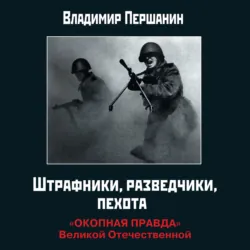 Прорыв «Зверобоев». На острие танковых ударов, аудиокнига . ISDN73762798