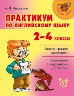 Практикум по английскому языку. 2-4 классы - Алевтина Илюшкина