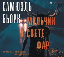 Мальчик в свете фар - Самюэль Бьорк Мальчик в свете фар - Самюэль Бьорк